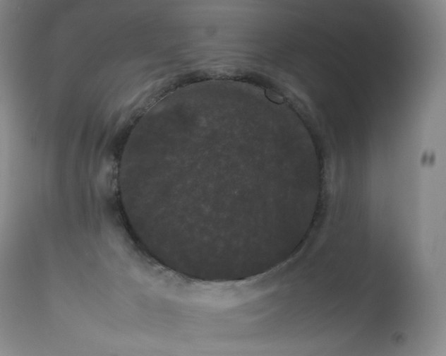 X0000112850029200909041540