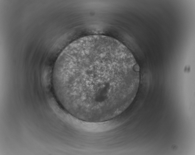 X0000112850030200909041540