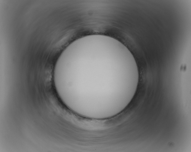 X0000112850032200909041540