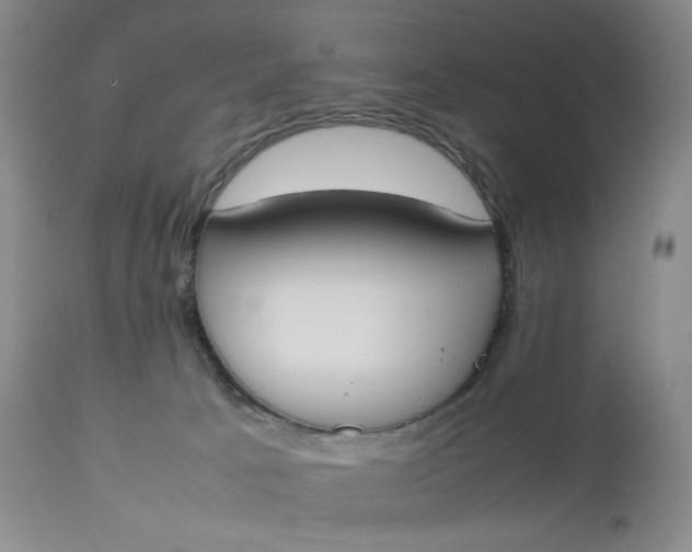 X0000112850033200909041540