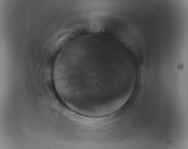 X0000112850035200909041540