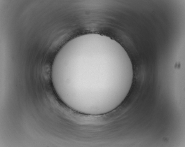 X0000112850036200909041540