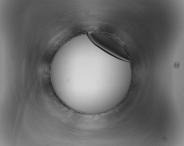 X0000112850037200909041540