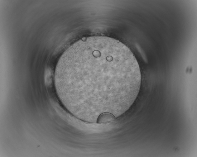 X0000112850038200909041540