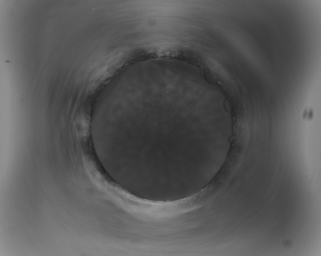 X0000112850039200909041539