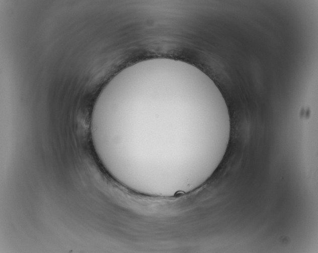 X0000112850040200909041539