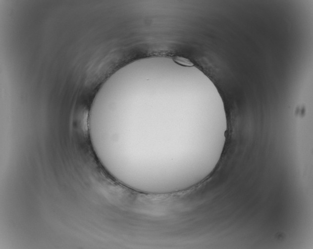 X0000112850041200909041539