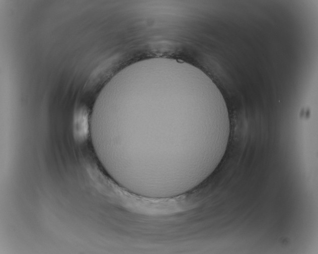 X0000112850042200909041539