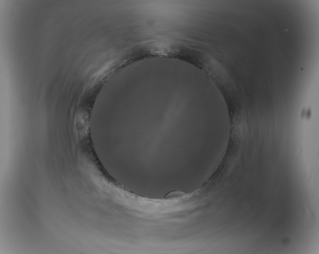 X0000112850043200909041539