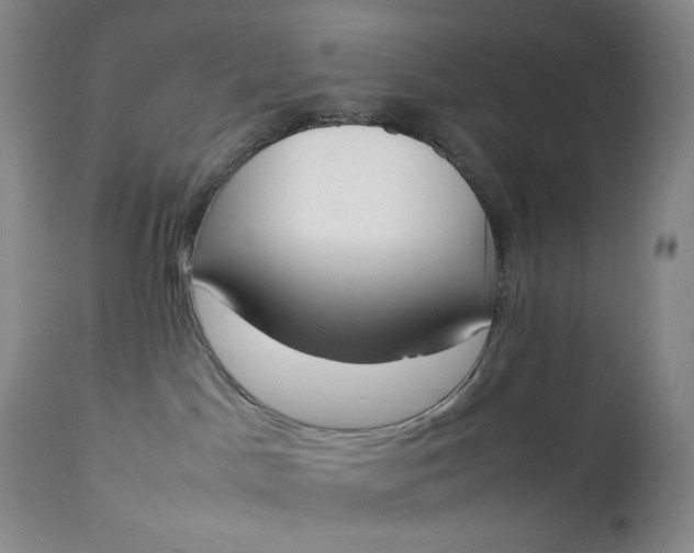 X0000112850045200909041539