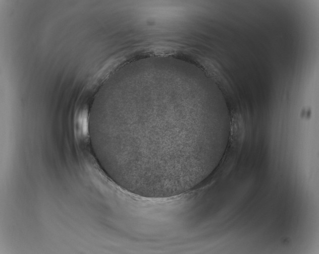 X0000112850046200909041539