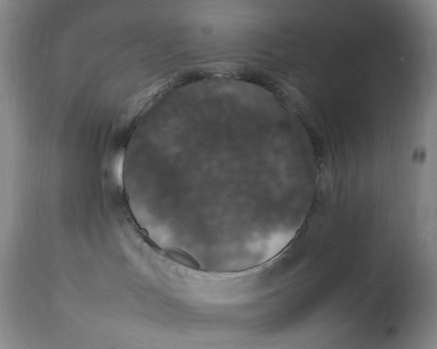 X0000112850047200909041539