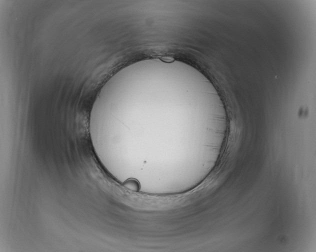 X0000112850048200909041539