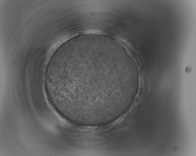 X0000112850049200909041539