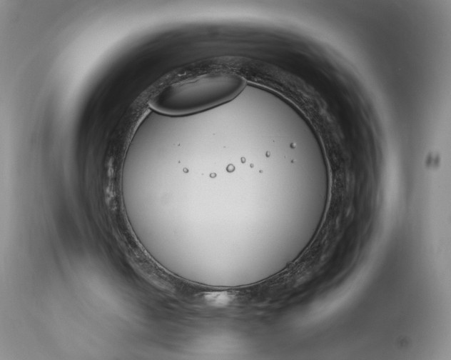 X0000112850050200909041539