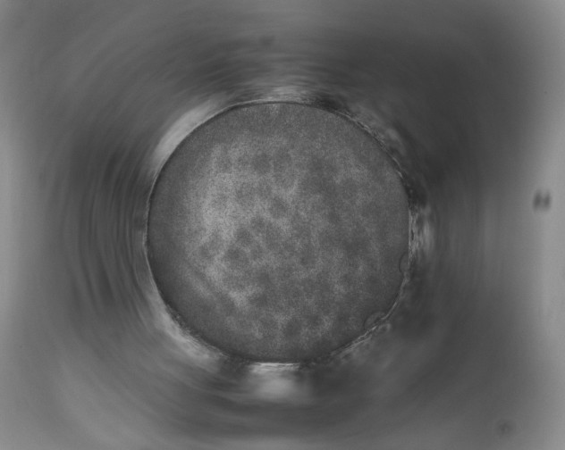 X0000112850051200909041539