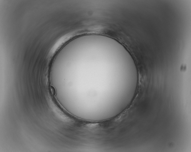 X0000112850054200909041539