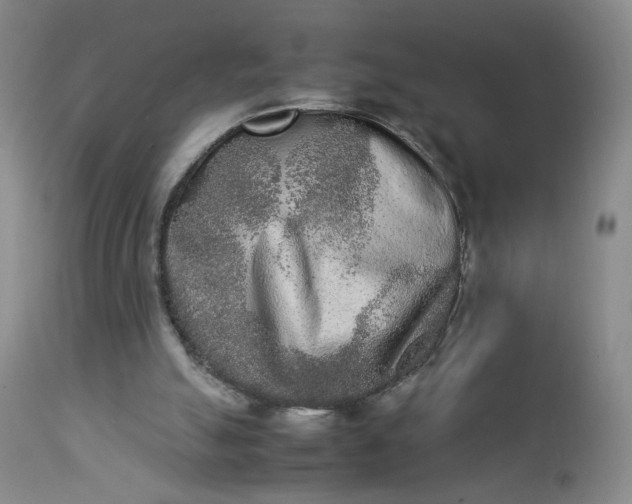 X0000112850055200909041539