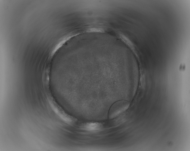 X0000112850059200909041539