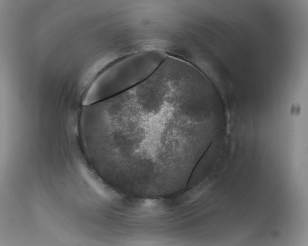 X0000112850060200909041539