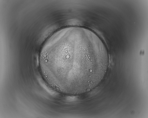 X0000112850061200909041539