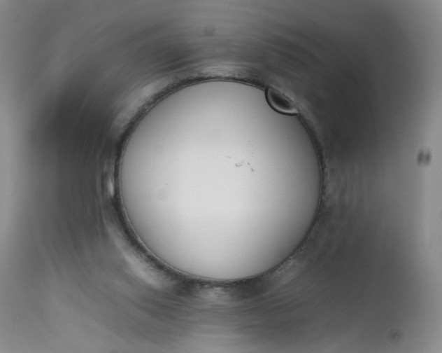 X0000112850062200909041539