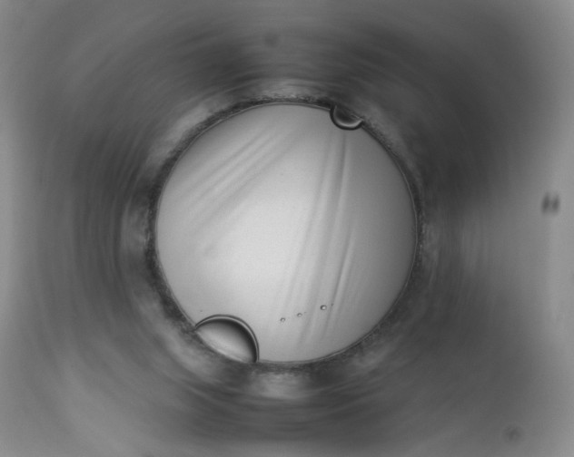 X0000112850063200909041539