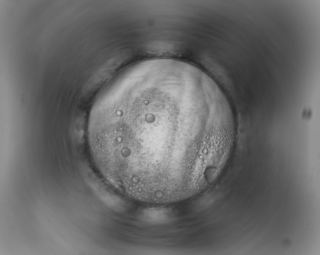 X0000112850065200909041539