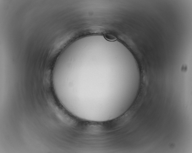 X0000112850066200909041539