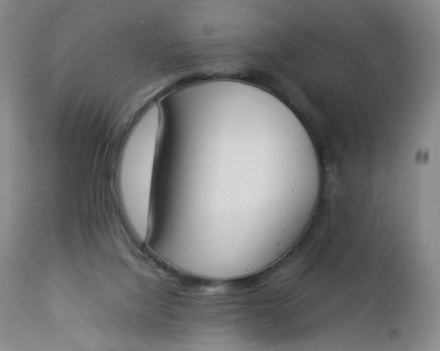 X0000112850068200909041539