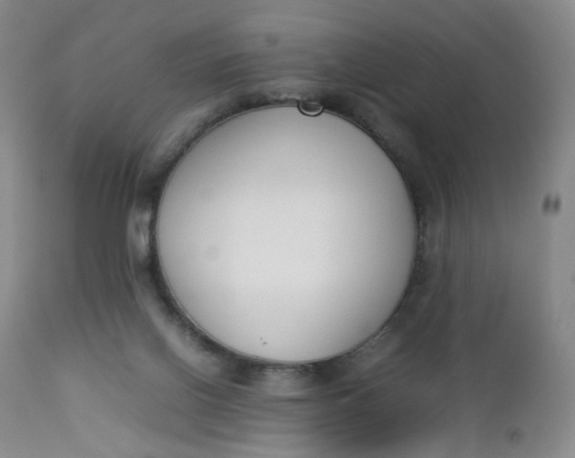 X0000112850070200909041539