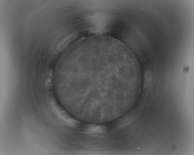 X0000112850073200909041539