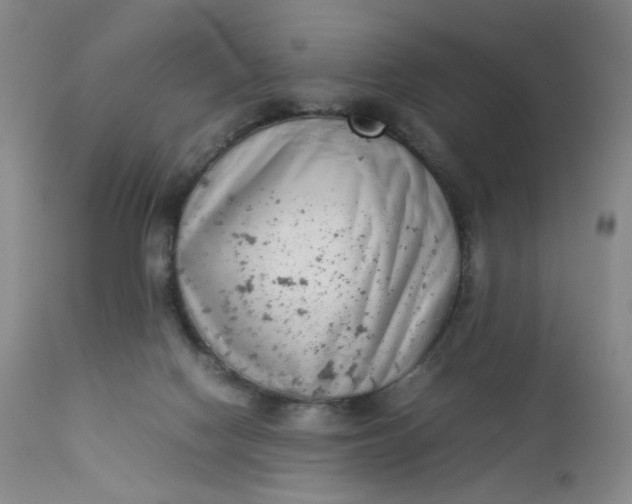 X0000112850074200909041539