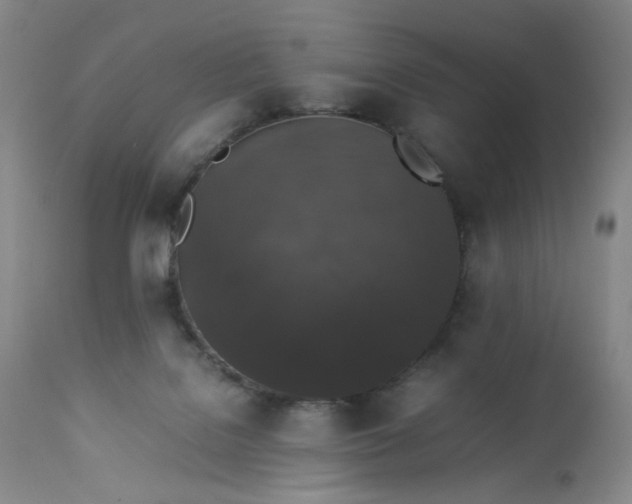 X0000112850076200909041539