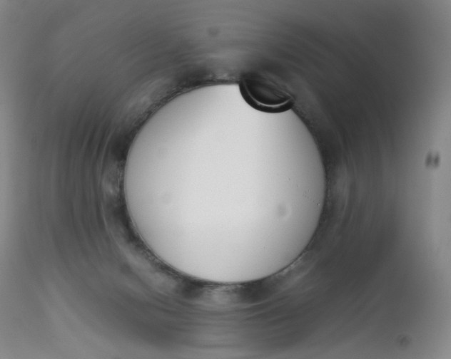 X0000112850078200909041539