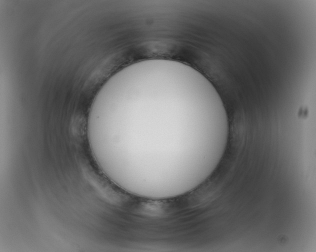 X0000112850079200909041539