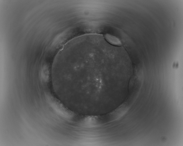 X0000112850080200909041539