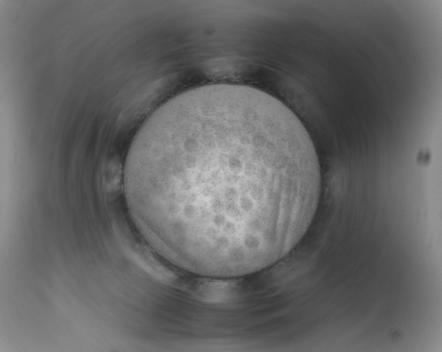 X0000112850081200909041539