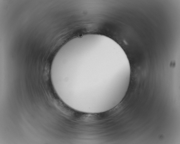 X0000112850082200909041539