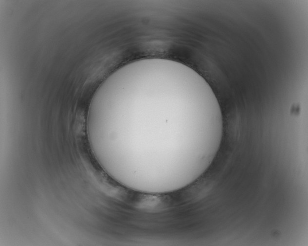 X0000112850083200909041539