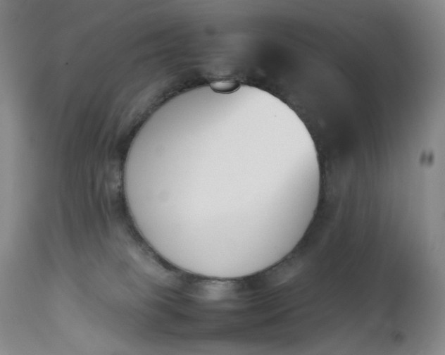 X0000112850085200909041539