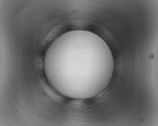 X0000112850086200909041539