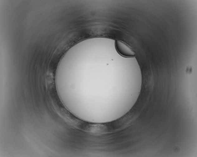 X0000112850087200909041539