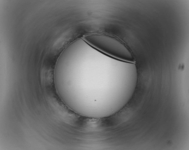 X0000112850088200909041539