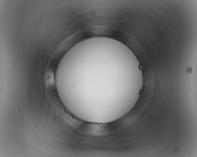 X0000112850089200909041539