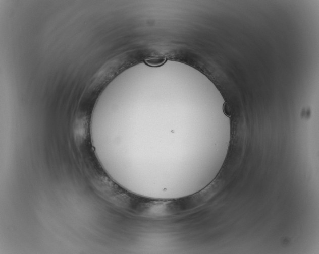 X0000112850090200909041539