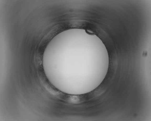 X0000112850091200909041539