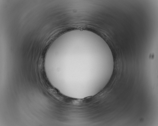 X0000112850092200909041539