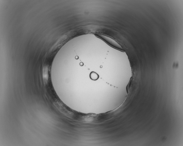 X0000112850094200909041539