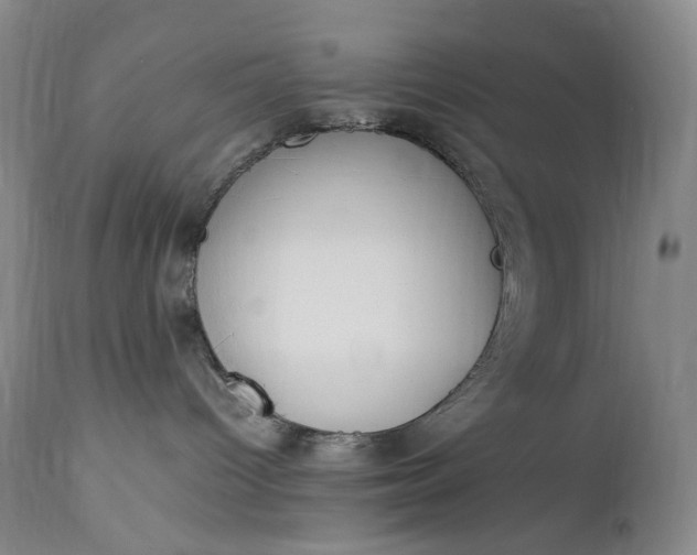 X0000112850096200909041539